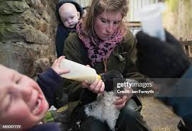 144 Yorkshire Shepherdess Amanda Owen Stock Photos, High-Res Pictures, and  Images