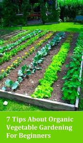 Alternative Gardning 7 Tips About Organic Vegetable Gardening For Beginners Backyard Vegetable Gardens Vegetable Garden For Beginners Organic Vegetable Garden