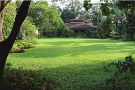 Nicely trimmed and manicured garden in front of a luxury house on a sunny summer day. Detail Of The Manicured Lawn Of The Restaurant Area In The Nzg Download Scientific Diagram