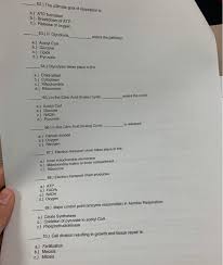 We did not find results for: 53 Which Are The Products Of Photosynthesis A Chegg Com