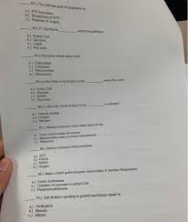 Glucose is required for synthesis of cellulose which makes the cell wall of plants. Solved 53 Which Are The Products Of Photosynthesis A Chegg Com