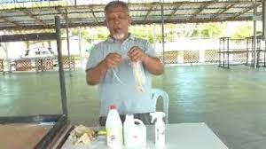 For your search query gel kencing harimau kerimo mp3 we have found 1000000 songs matching your query but showing only top 10 results. Cara Penyediaan Penggunaan Cecair Kencing Harimau Gel Kencing Harimau Youtube