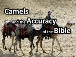Its supporters have played on prejudice that homosexuality is entirely a western import, ignoring, for example, the circumstances of. Strain At Gnat Swallow Camel Jesus Spoke Many Famous Sayings That Richly Add To Our Vernacular Today Cp Matt 19 24 24 Ye Blind Guides Which Strain Ppt Download
