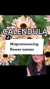 How To Pronounce Cotyledon - Youtube