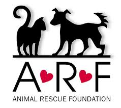 Aussie pet grooming memphis : Animal Rescue Foundation Tulsa Oklahoma Finding Great Homes For Great Pets