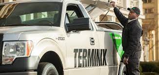 Blogging regularly can go a long way toward helping you stand out and is an investment well worth making. How Much Do Exterminators Cost Are They Worth It Terminix