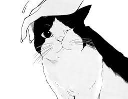 Manga Fascination Manga Cat Cat Art Art