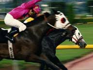 Let's get this immunity challenge started! 226 Uk Trivia Questions Answers Horse Racing
