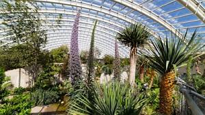 You can use the special requests box when booking, or contact the property directly with the contact details provided. National Botanic Garden Of Wales Celebrates 20 Years Bbc News