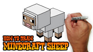 Check spelling or type a new query. How To Draw Minecraft Sheep Youtube