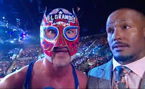 Real Wrestling World