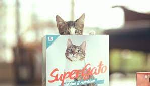 Super Gato The Cat Food Brand That Thought About The Box Cat Food Brands Cat Food Cats