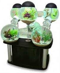Acquario Lusso Acquario Lusso Per Pesci Idee Acquario Cool Stuff Prodotti E Gadget