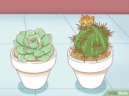 The only fix for a light deprived plant is to move it to a place where is receives better, more direct light such as south facing window, which will leave the. 4 Ways To Protect Your Houseplants From Pets Wikihow