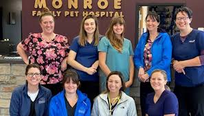 This is why our animal healthcare team strives to provide you with the highest quality service focused on compassionate and personalized veterinary care. Monroe Family Pet Hospital Veterinary Medical Services