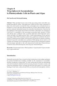Maybe you would like to learn more about one of these? Pdf Triacylglycerol Accumulation In Photosynthetic Cells In Plants And Algae
