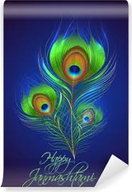 To install on your device. Illustration Of Peacock Feather In Janmashtami Background Wall Mural Pixers We Live To Change