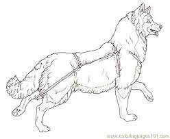 Click on the image to view or download the pdf version. Mural Tsb Sled Dog Running Head Up Coloring Page For Kids Free Dog Printable Coloring Pages Online For Kids Coloringpages101 Com Coloring Pages For Kids