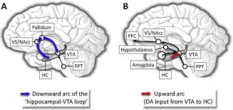 Branch 3 is located in germany. Pdf Nap Sleep Benefits In Recognition Memory And Their Modulation By Reward Evidence From Behavioral And Electrophysiological Data Semantic Scholar