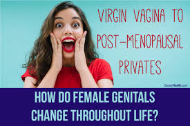 Virgin Vagina To Post-Menopausal Privates: How Do Female Genitals Change  Throughout Life? | Womens Health articles | Family Health center |  SteadyHealth.com