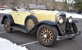 Image result for Cairo Gray 1929 Buick