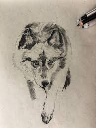 We did not find results for: Top 8 Best Tips For Drawing Animals Steemit