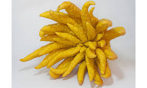 Giant fruits and veggies could definitely end world hunger. 9 Strange Fruits From Around The World Wanderlust