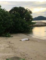 Tak ada yang tahu di mana dan mengapa kapal terbang yang membawa 239 orang itu lenyap dan tak. Mayat Lelaki Dijumpai Terapung Di Teluk Batik Utusan Digital