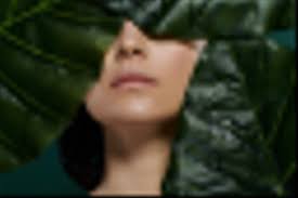 Vibrant rainforest Free Stock Photos, Images, and Pictures of Vibrant  rainforest