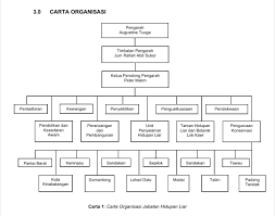 Jabatan hidupan liar, unit penyelamat hidupan liar (wru) bersama pekerja ladang kelapa sawit melangking (mopp) berjaya menyelamatkan seekor anak gajah pygmy yang terperangkap selepas terjatuh ke dalam parit di sukau, kinabatangan pada 27 disember lalu. Organization Chart