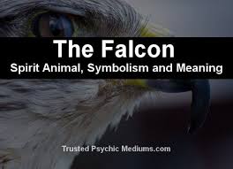 The Falcon Spirit Animal A Complete Guide To Meaning And Symbolism Spirit Animal Animal Guides Spirit Animal Meaning