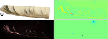 You're allowed up to three different characters, your first character will be. Using Tnt Nn To Unlock The Fast Full Spatial Inversion Of Large Magnetic Microscopy Data Sets Earth Planets And Space Full Text
