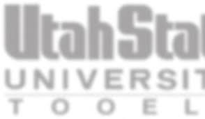 B1 6-20-06 art festival