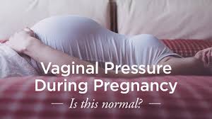 The worst of the nausea has usually passed, and your baby isn't big enough to make you too uncomfortable. Vaginal Pressure During Pregnancy Is It Normal