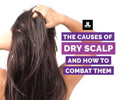 That is why it is advisable that you take a lot of water to keep your skin hydrated at all times. The Causes Of Dry Scalp And How To Combat Them Joujou Hair Studio