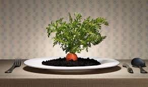 Carrots grow well in cool weather. Can You Grow Carrots From Carrot Tops Express Co Uk