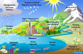 Shows The Facts About Different Effects Of Global Warming Effects Of Global Warming Climate Change Effects What Is Climate