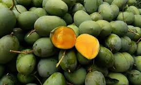 Buah ni mempunya bau harum manis yang kuat dan menusuk. Serbat Kweni Minuman Segar Khas Lampung Yang Nikmat