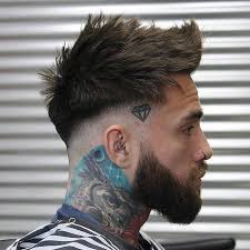 Daniel Antolini (antolini1415)