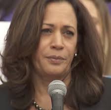 The Issues That Kamala Harris Fights For