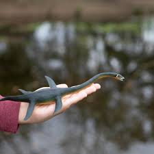 Image result for Elasmosaurus