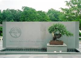 A great addition to any space it adorns, these plants make for striking centerpieces or desk plants whether in an office or a home. Centuries Old Bonsai Tree That Survived Atomic Bomb Gets Honored 70 Years Later Secrets In The News August 1 7 2015 News Secrets Of The Dead Pbs