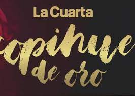 Getting started | contributor zone ». Copihue De Oro 2018 Topic Especial Para Comentar Todos Los Detalles Del Evento Hoy 19 00 Horas Gala 22 00 Horas Premiacion Por Canal 13 Television Chilena Fotech Foro De Television Y Espectaculos De Chile