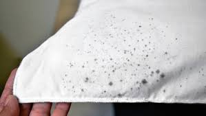 Get expert laundry tips & tricks from tide for your fabric care needs. How To Get Mould Stains Out Of Fabric The Canberra Times Canberra Act