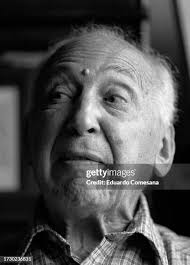 467 Kertesz Stock Photos, High-Res Pictures, and Images