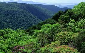 Brasilianisches bergland — brasilianisches bẹrgland, berg und tafelland im östlichen südamerika, nimmt mit rd. Brasilien