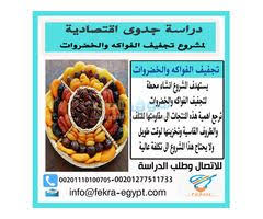 دراسة جدوى لمشروع تجفيف الفواكه والخضروات Food Finance Breakfast