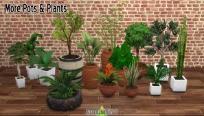 Many of the collectibles help increase the quality of food you cook, and also help complete your household gardening collection.sims will have to search high and low, and use the grafting interaction to find every collectible available in the game. Around The Sims 4 Custom Content Download Pots Plants