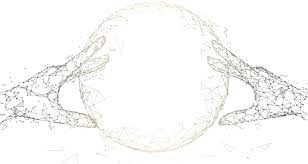 Gstrade Exchange Platform Lace Top Women Fashion