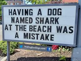 Nitrous oxide has significant medical uses, especially in surgery and dentistry. Local Gas Station Makes The Whole Town Laugh Every Day With The Funniest Signs Ever 30 New Pics Bored Panda